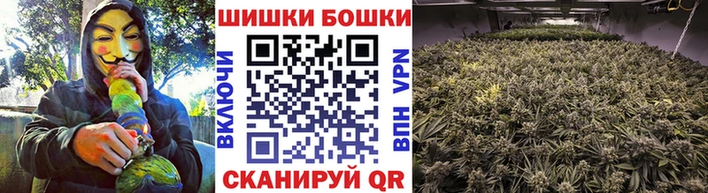 Бошки марихуана планчик  Купить где  Людиново 